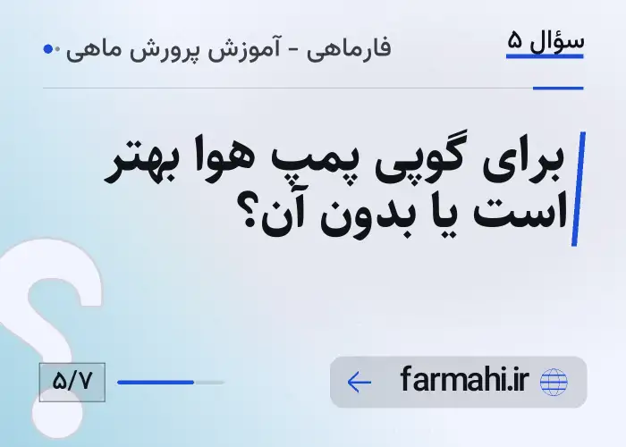 برای گوپی پمپ هوا بهتر است یا بدون آن؟
