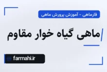 ماهی گیاه خوار مقاوم