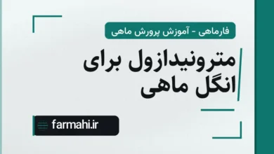 مترونیدازول برای انگل ماهی