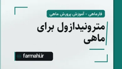 مترونیدازول برای ماهی