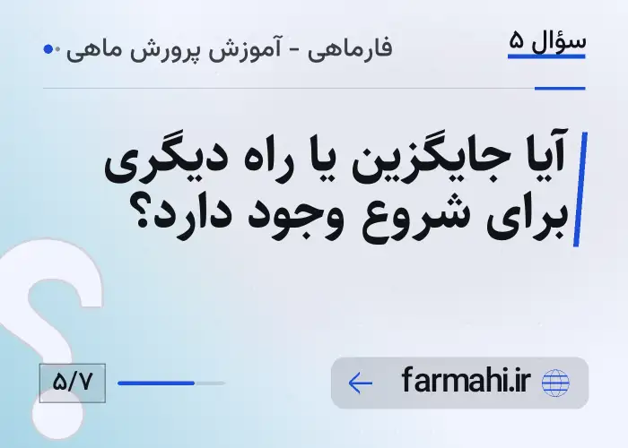 آیا جایگزین یا راه دیگری برای شروع وجود دارد؟