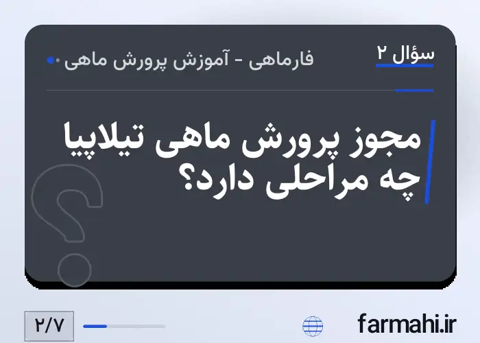 مجوز پرورش ماهی تیلاپیا چه مراحلی دارد؟