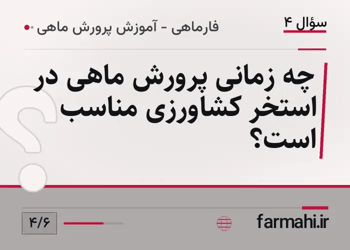 چه زمانی پرورش ماهی در استخر کشاورزی مناسب است؟