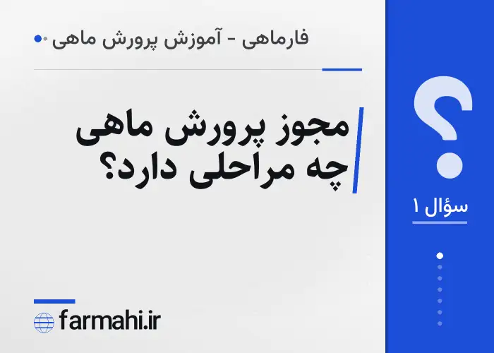 مجوز پرورش ماهی چه مراحلی دارد؟