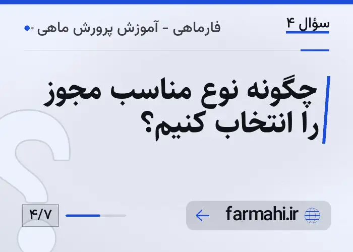 چگونه نوع مناسب مجوز را انتخاب کنیم؟