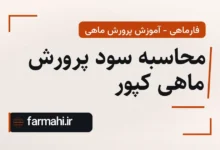 محاسبه سود پرورش ماهی کپور