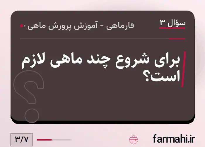 برای شروع چند ماهی لازم است؟