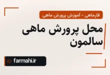 محل پرورش ماهی سالمون