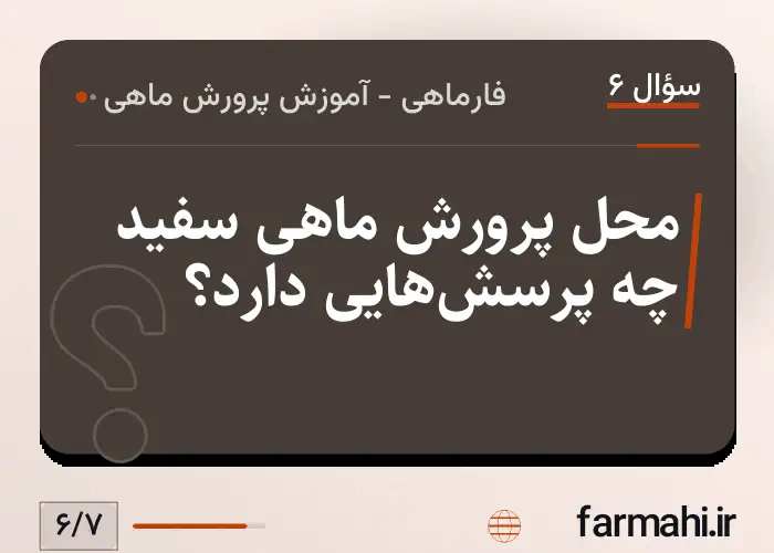 محل پرورش ماهی سفید چه پرسش‌هایی دارد؟