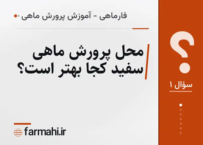 محل پرورش ماهی سفید کجا بهتر است؟