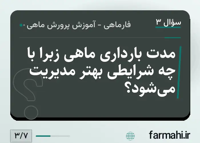 مدت بارداری ماهی زبرا با چه شرایطی بهتر مدیریت می‌شود؟