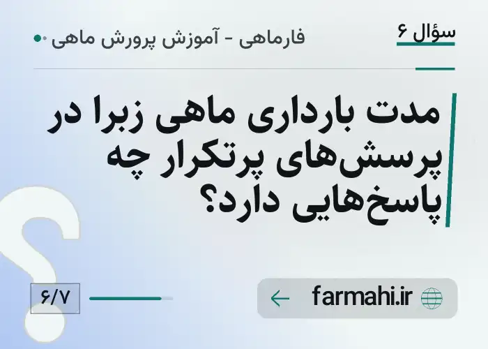 مدت بارداری ماهی زبرا در پرسش‌های پرتکرار چه پاسخ‌هایی دارد؟