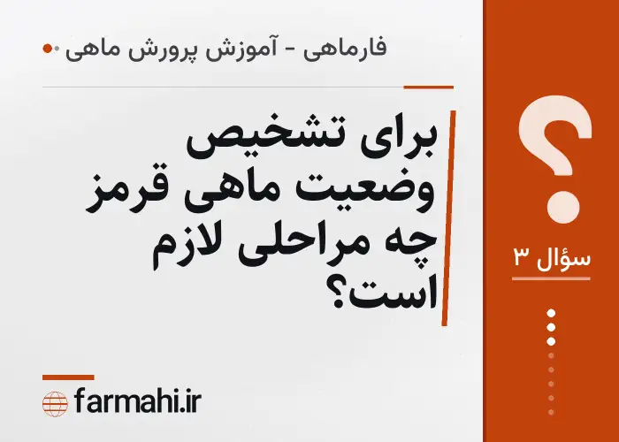 برای تشخیص وضعیت ماهی قرمز چه مراحلی لازم است؟