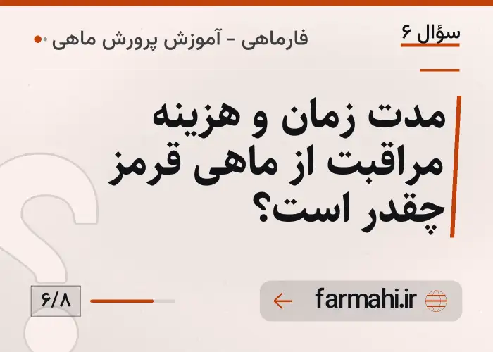 مدت زمان و هزینه مراقبت از ماهی قرمز چقدر است؟