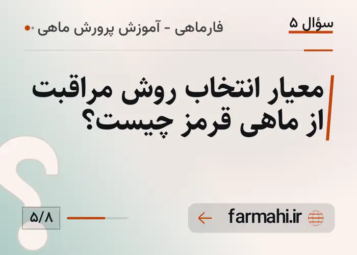 معیار انتخاب روش مراقبت از ماهی قرمز چیست؟
