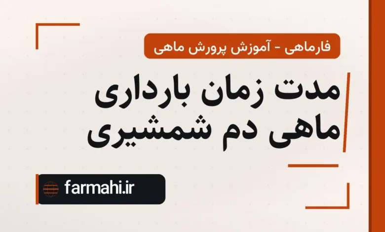 مدت زمان بارداری ماهی دم شمشیری