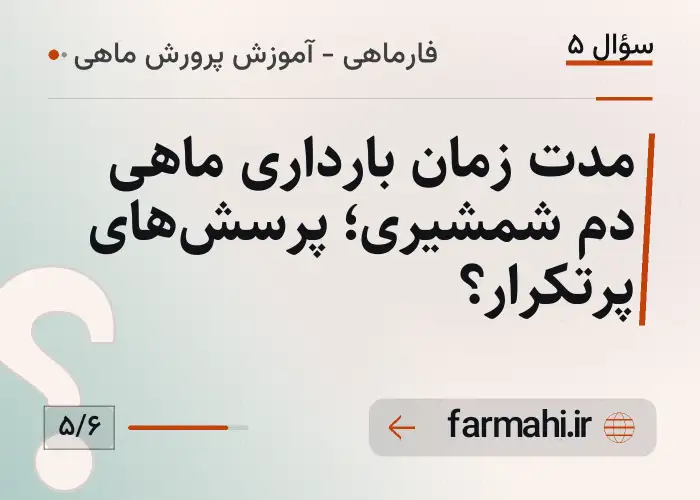 مدت زمان بارداری ماهی دم شمشیری؛ پرسش‌های پرتکرار؟