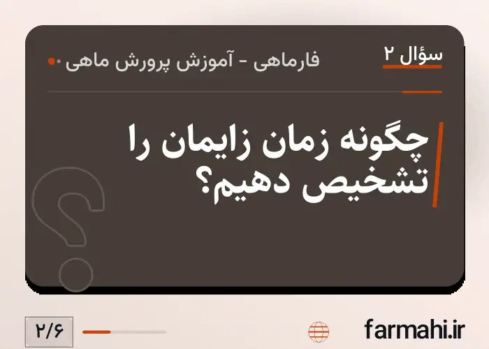 چگونه زمان زایمان را تشخیص دهیم؟