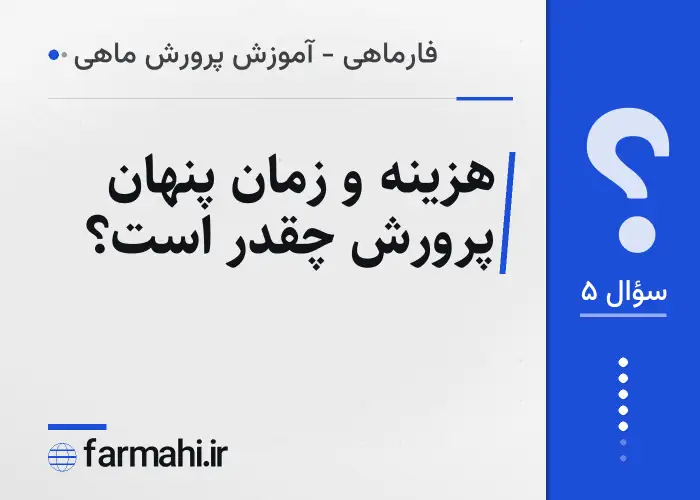 هزینه و زمان پنهان پرورش چقدر است؟