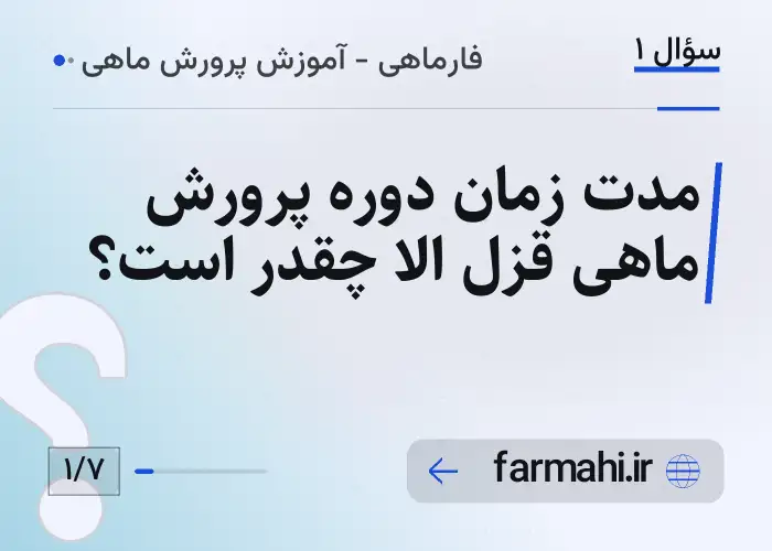 مدت زمان دوره پرورش ماهی قزل الا چقدر است؟