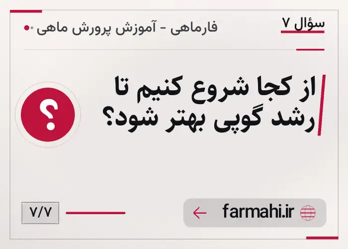 از کجا شروع کنیم تا رشد گوپی بهتر شود؟