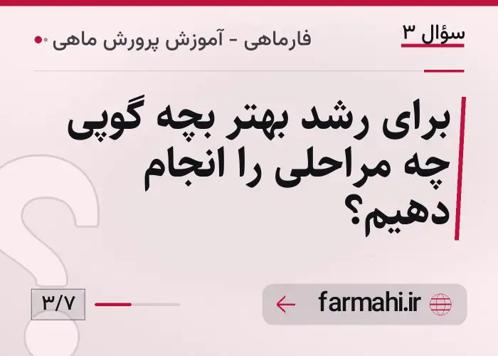 برای رشد بهتر بچه گوپی چه مراحلی را انجام دهیم؟