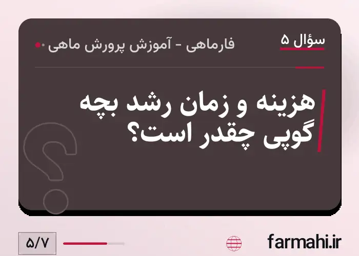 هزینه و زمان رشد بچه گوپی چقدر است؟