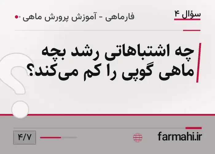 چه اشتباهاتی رشد بچه ماهی گوپی را کم می‌کند؟