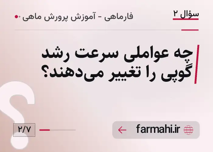 چه عواملی سرعت رشد گوپی را تغییر می‌دهند؟