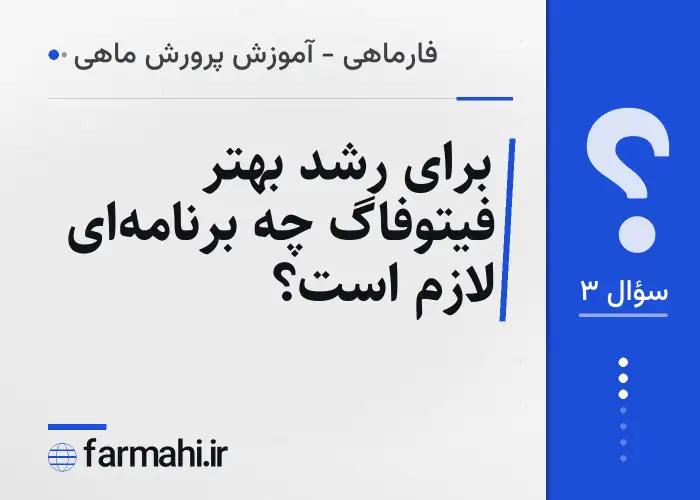 برای رشد بهتر فیتوفاگ چه برنامه‌ای لازم است؟
