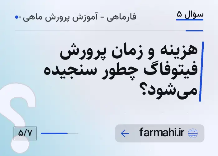 هزینه و زمان پرورش فیتوفاگ چطور سنجیده می‌شود؟