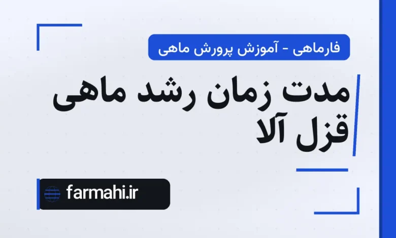 مدت زمان رشد ماهی قزل آلا