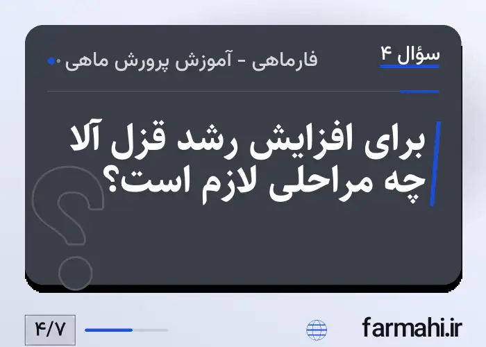 برای افزایش رشد قزل آلا چه مراحلی لازم است؟