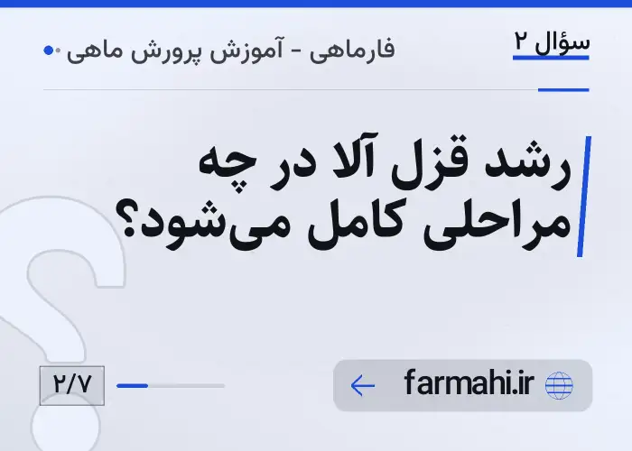 رشد قزل آلا در چه مراحلی کامل می‌شود؟