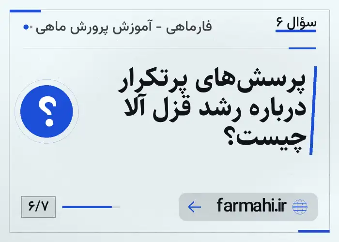 پرسش‌های پرتکرار درباره رشد قزل آلا چیست؟