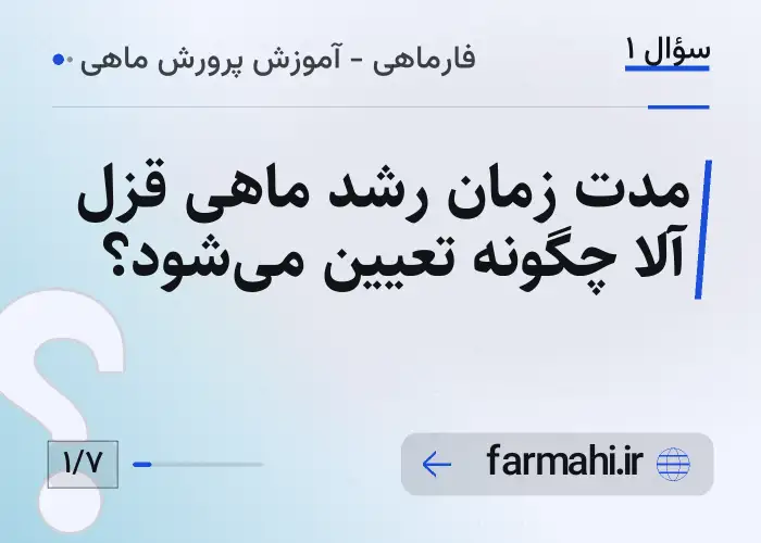 مدت زمان رشد ماهی قزل آلا چگونه تعیین می‌شود؟