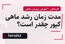 مدت زمان رشد ماهی کپور چقدر است؟