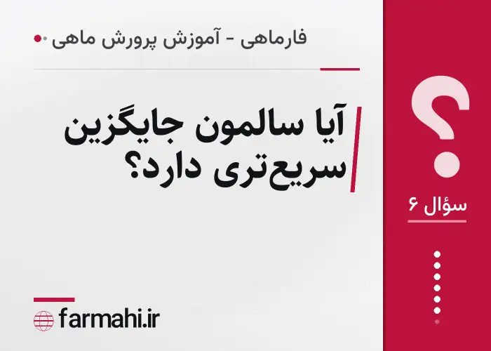 آیا سالمون جایگزین سریع‌تری دارد؟