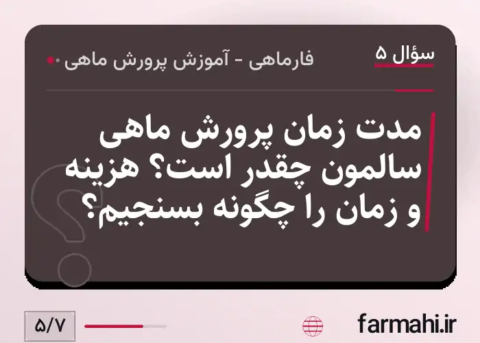 مدت زمان پرورش ماهی سالمون چقدر است؟ هزینه و زمان را چگونه بسنجیم؟