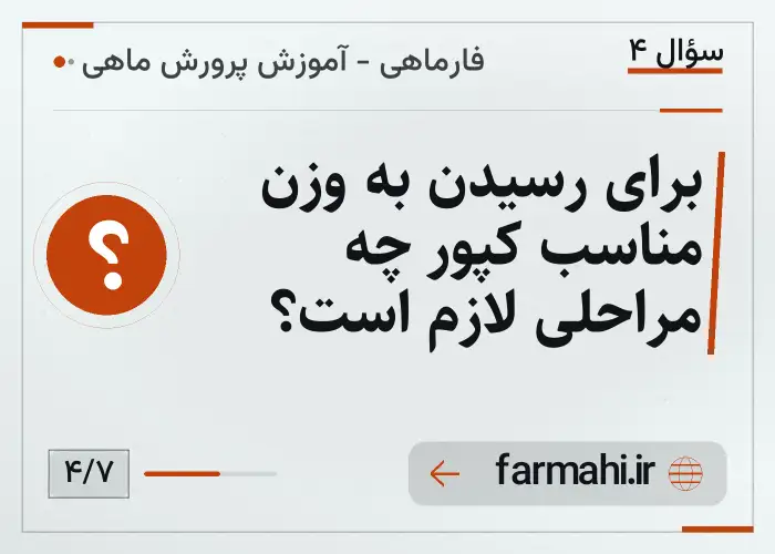 برای رسیدن به وزن مناسب کپور چه مراحلی لازم است؟