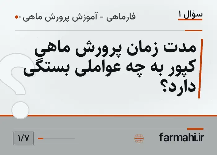 مدت زمان پرورش ماهی کپور به چه عواملی بستگی دارد؟
