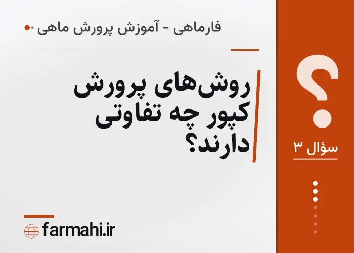 روش‌های پرورش کپور چه تفاوتی دارند؟