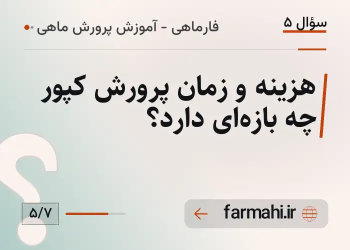 هزینه و زمان پرورش کپور چه بازه‌ای دارد؟