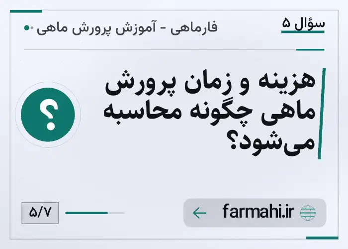 هزینه و زمان پرورش ماهی چگونه محاسبه می‌شود؟