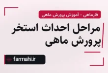 مراحل احداث استخر پرورش ماهی