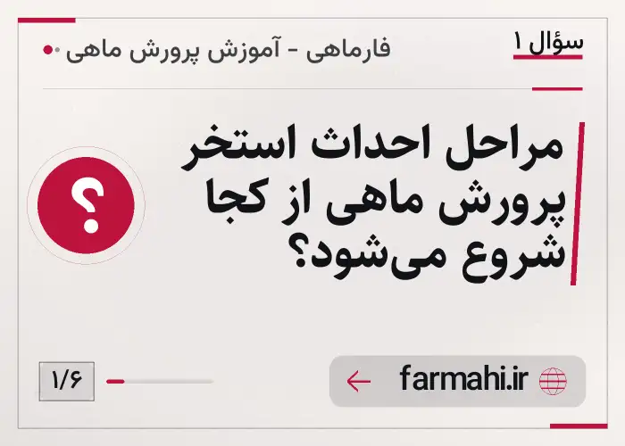 مراحل احداث استخر پرورش ماهی از کجا شروع می‌شود؟