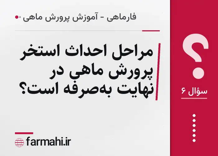 مراحل احداث استخر پرورش ماهی در نهایت به‌صرفه است؟