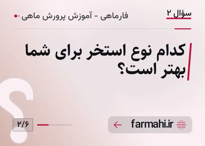 کدام نوع استخر برای شما بهتر است؟