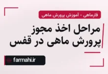 مراحل اخذ مجوز پرورش ماهی در قفس