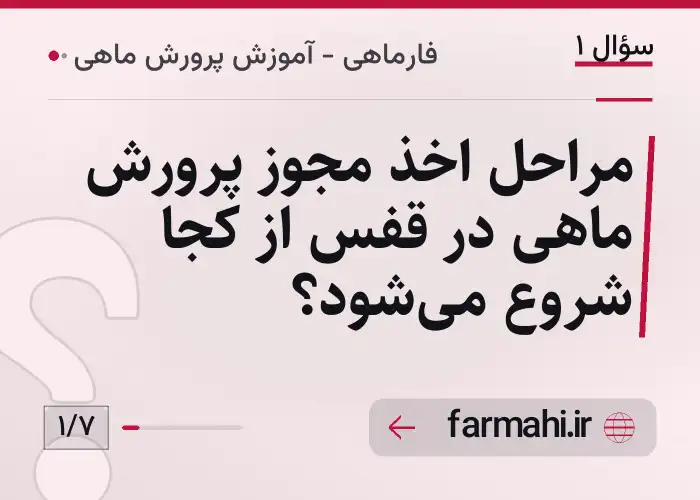 مراحل اخذ مجوز پرورش ماهی در قفس از کجا شروع می‌شود؟